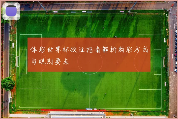 体彩世界杯投注指南解析购彩方式与规则要点
