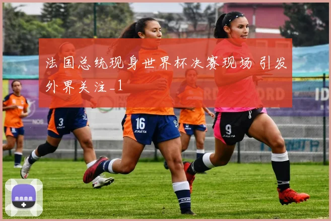 法国总统现身世界杯决赛现场 引发外界关注_1