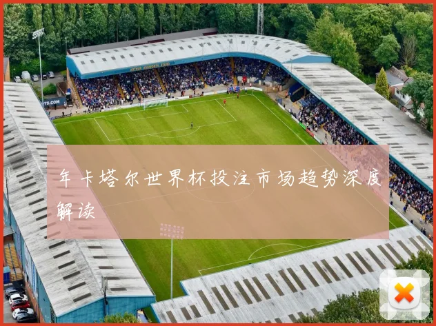 年卡塔尔世界杯投注市场趋势深度解读