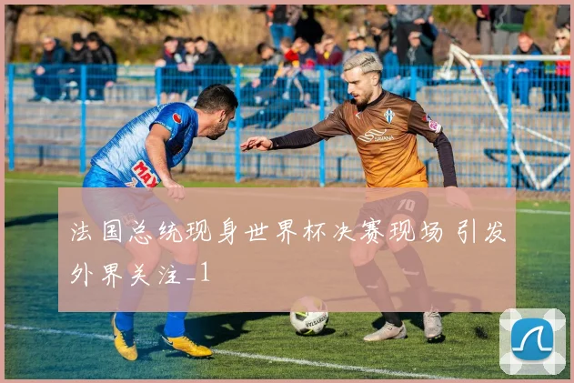 法国总统现身世界杯决赛现场 引发外界关注_1