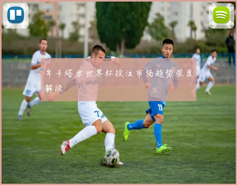 年卡塔尔世界杯投注市场趋势深度解读