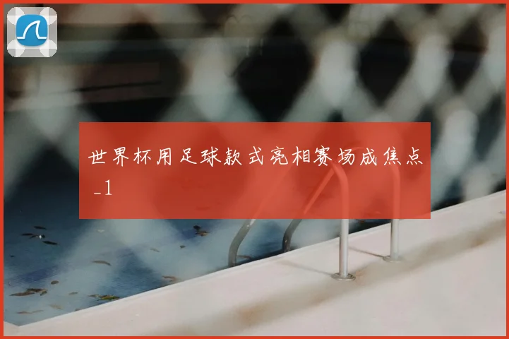 世界杯用足球款式亮相赛场成焦点 _1
