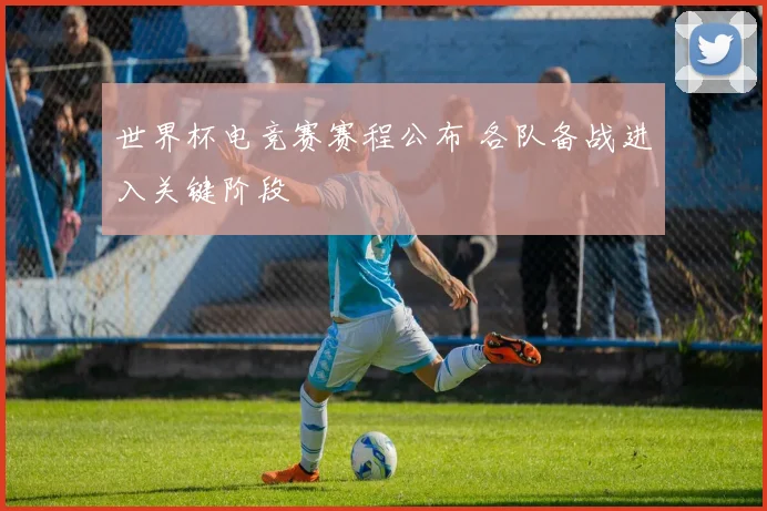 世界杯电竞赛赛程公布 各队备战进入关键阶段