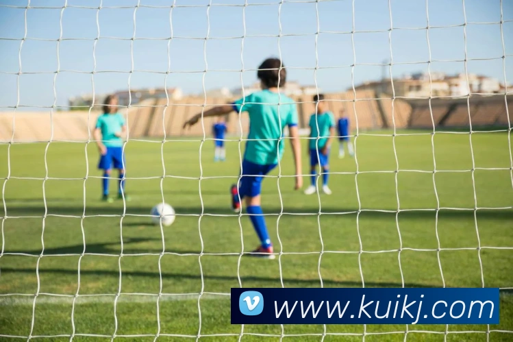 开云在线官网登录appAPP 封面图